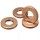Bunnskive 15.6 x 7.3 x 1.5mm